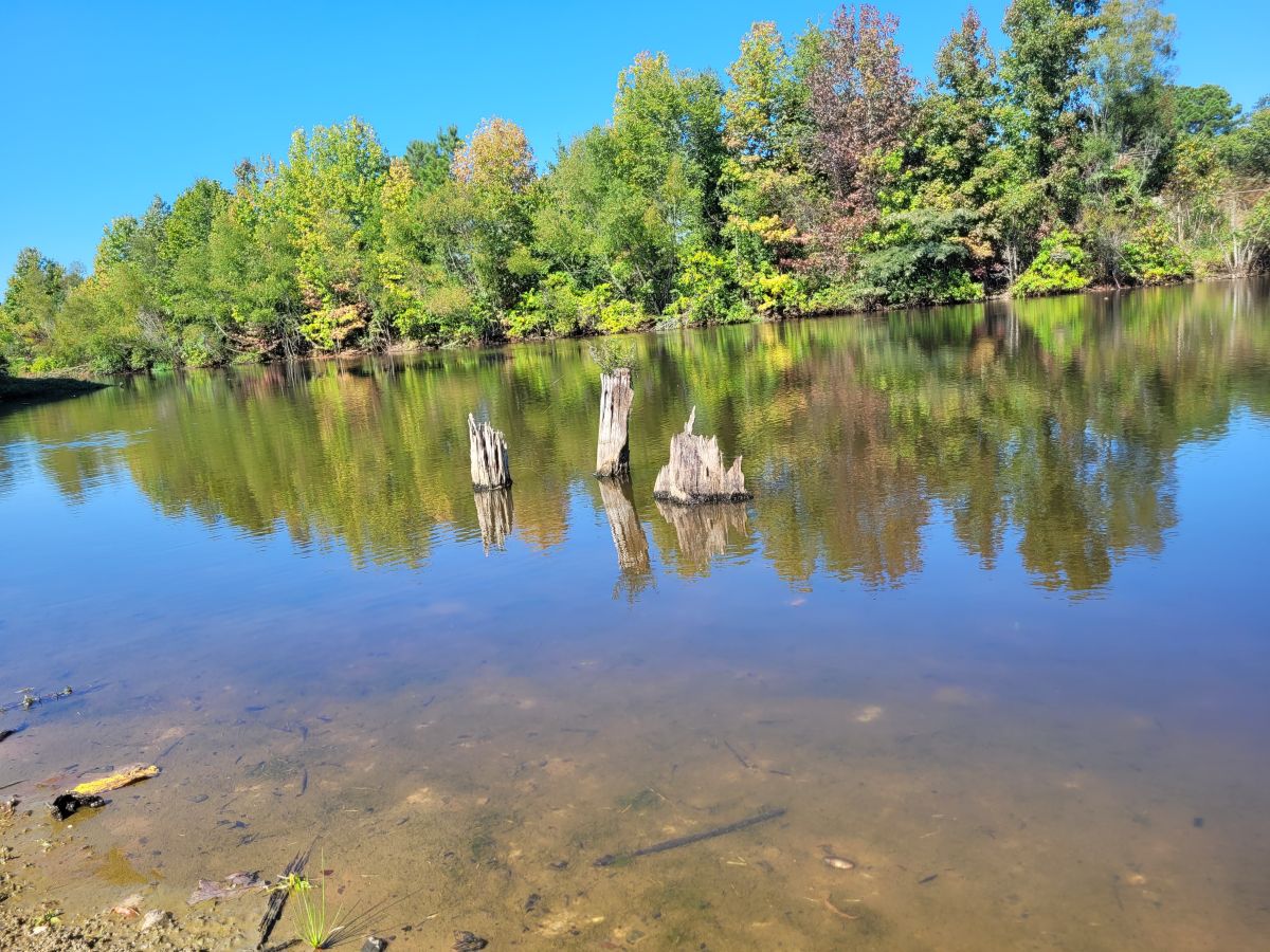 Busby Lake in Ward