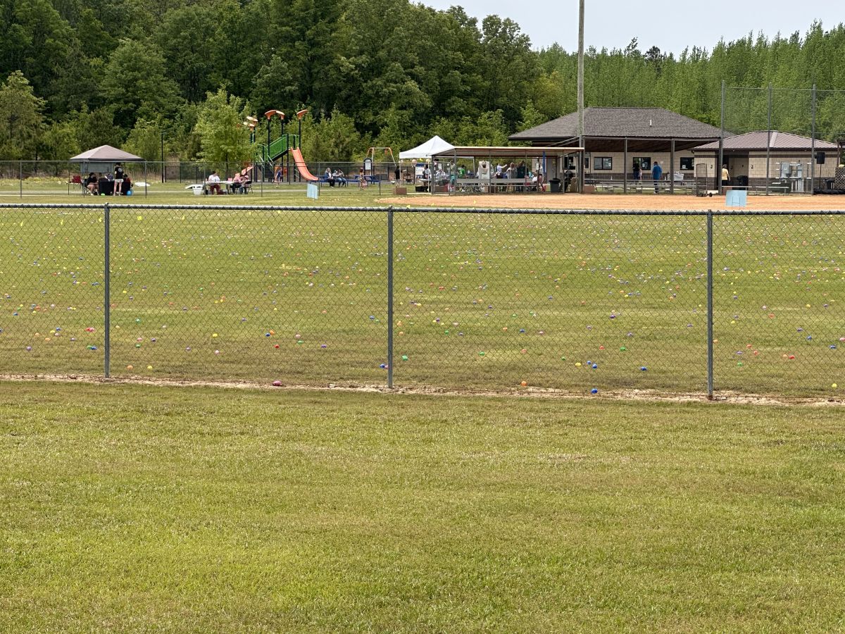 Thousands of eggs ready to be picked up by the kids in the ball field