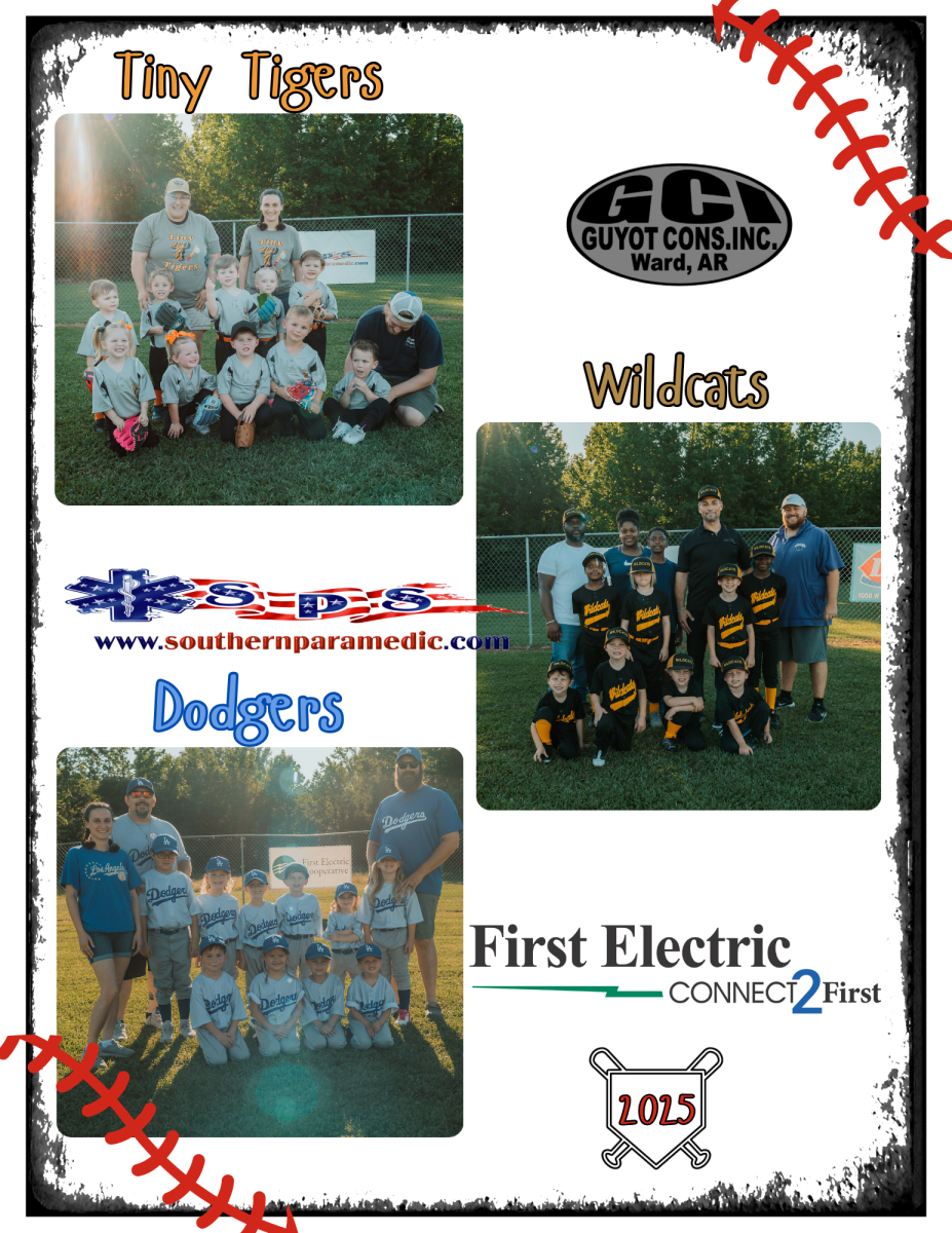 Tiny Tigers, Dodgers, Wildcats for 2025 T-Ball